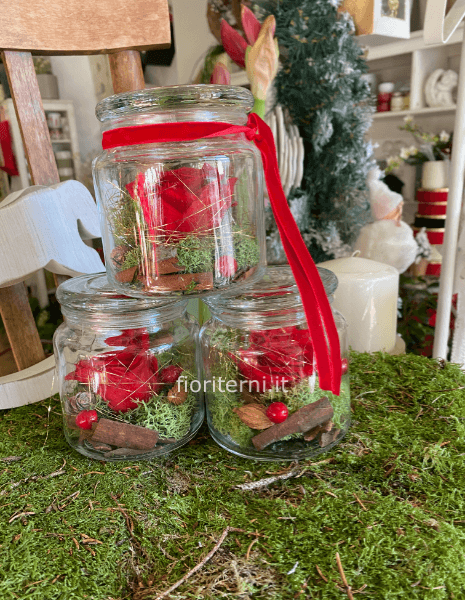 rosa stabilizzata natalizia