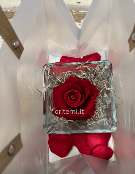 rosa eterna