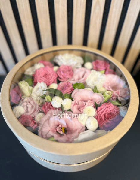 scatola con coperchio trasparente