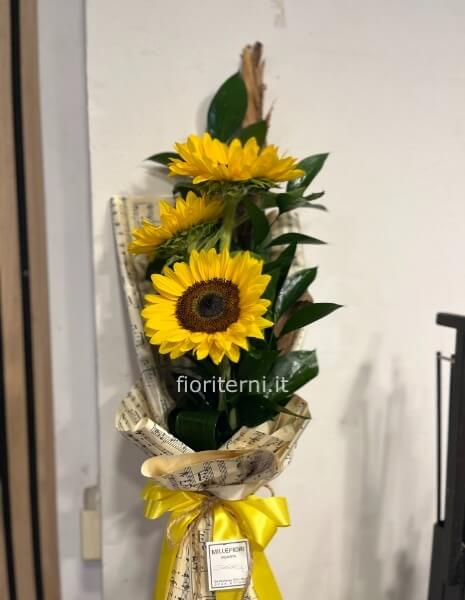 girasoli